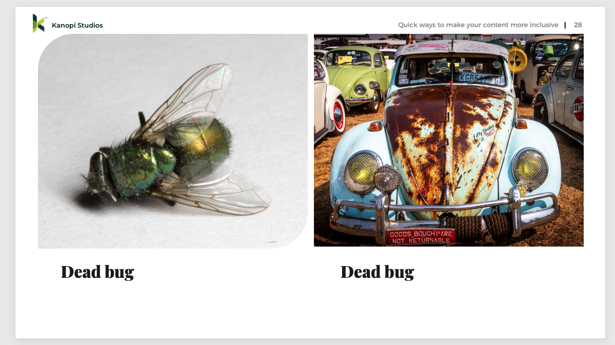 Slide image showing a photo of a dead bug and next to that a photo of a card. Both have been labeled Dead Bug but with no further descriptions